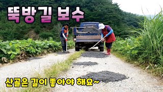 산골로 가는 뚝방길 보수! 길을 직접 보수했어요~