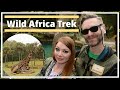 Disney Animal Kingdom's Wild Africa Trek: The Ultimate Adventure | Is it worth it? | What to know!