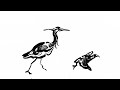 Colori Della Primavera (III. Largo) - R. Groslot ✶ animated version ✶
