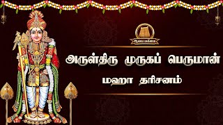 🔴Live: மார்கழி செவ்வாய்க்கிழமை | சகல பிணிகளையும் நீக்கும் முருகன் | மஹா அபிஷேக அலங்கார தரிசனம்