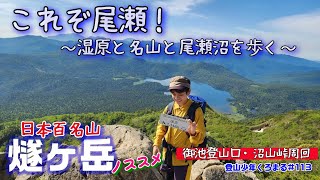 【尾瀬・燧ヶ岳】これぞ尾瀬！湿原と名山と尾瀬沼を歩く旅！楽園の様な湿原と高山植物だらけの尾瀬沼！360度絶景の燧ヶ岳✨