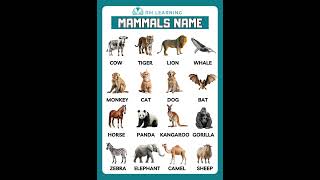 Mammals Name #shortsfeed #mammals #rmlearning