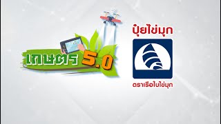 เกษตร 5.0 x ปุ๋ยเรือใบไข่มุก ตอนที่ 110 ลูกตาลและการสร้างอาชีพทางการเกษตร