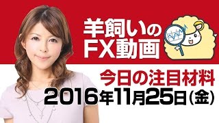 羊飼いのFX動画・金曜版「今週の復習と本日の注目ポイント」11月25日(金)