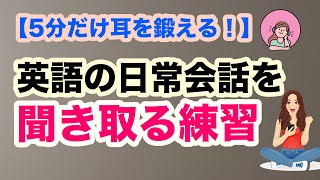 【5分だけ耳を鍛える！】英語の日常会話を聞き取る練習１００フレーズ【耳だけを頼りに聞き流し英語学習】