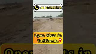 APCRDA Open Plots in Tadikonda for Sale || APCRDA || Tadikonda Land for Sale || Call: +91 8297475678