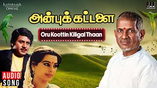 Oru Koottin Kiligal Thaan Song | Anbu Kattalai | Ilaiyaraaja | Ramarajan | Pallavi | Tamil Songs