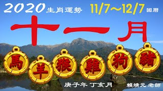 2020【馬、羊、猴、雞、狗、豬】｜12生肖 11月運勢 2020（國曆 11/7~12/7）｜生肖運勢 11月 ｜【大易月報】運勢 11/07-12/07 2020｜庚子年丁亥月 運勢｜賴靖元老師