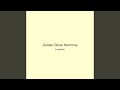 Golden Silver Harmony