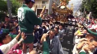 平成28年  三鷹 八幡大神社  例大祭  一之宮  半端無い神輿渡御。