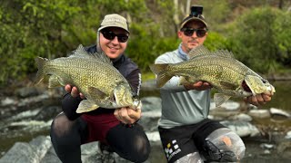 BIG Australian BASS in a remote NSW RIVER | Noike Kaishin Blade