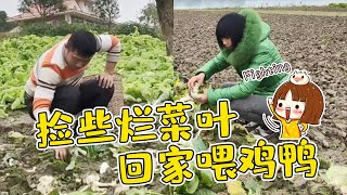 No one wants the vegetable leaves by the river. Brother Yong picks it up and feeds them