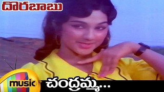 ANR Hit Songs | Dora Babu Telugu Movie | Chandragiri Chandramma Full Video Song | Manjula