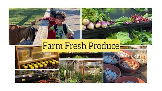 Farm Fresh Produce vegetables ,fruits ,chicken eggs 🥚 and duck eggs too,Bothell,WA