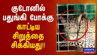 5 நாட்களாக உணவின்றி குடோனில் பதுங்கிய சிறுத்தை:  கூண்டுக்குள் சிக்கியது!!