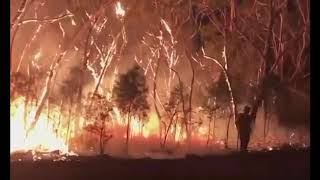 【最新映像】シドニーに迫る止められない山火事　2019年12月8日（現地）