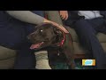 Idaho Today: What the Idaho Humane Society offers