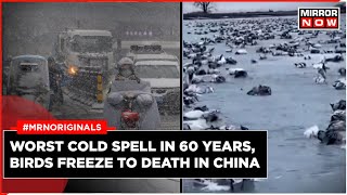 China Snowstorm | China's Xinjiang Battles Deep Freeze, Coldest Weather In 60 Years | World News