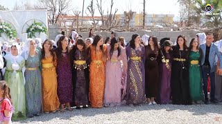 Şırnak Silopi Düğünleri Hidayet Tetik Düğünü Part 4 Tetik Ailesinin Mutlu Günü Koma Walat Silopi