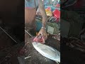 Amazing knife cutting baby tuna #amazingcuttingskill #tunacuttingshow #fishcuttingskills