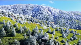 志賀高原に冬が訪れる・4K