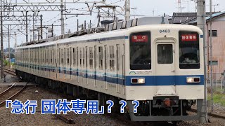 【団体列車なのに急行幕？】東武8000系8163F 東武トップツアーズ団臨 福居通過