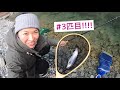 tenkara 渓流の管理釣り場でテンカラをしよう トラウト ニジマス イワナ リヴァスポット早戸