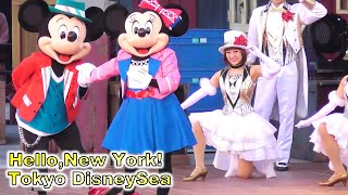 TDSハロー、ニューヨーク！クリスマスVer・東京ディズニーシー（2019/12/8）