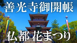 善光寺御開帳 第100回「仏都花まつり」善光寺花回廊 2022年5月5日【長野県長野市】