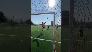 Amazing !!! Impossible Goalkeeper Saves Of The Year