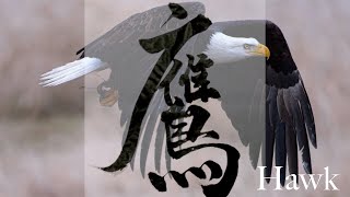 Kanji「鷹Taka(Hawk)」 Japanese Writing