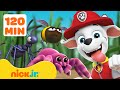 PAW Patrol Bug Rescues & Adventures! 🐝 2 Hours | Nick Jr.