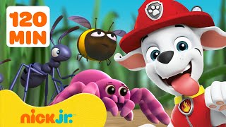 Paw Patrol Brand New Rescues Adventures 2 Hours Nick Jr Nick Jr Mp3 Paw Patrol Brand New Rescues Adventures 2 Hours Nick Jr Nick Jr Mp3