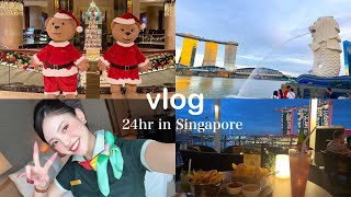 【vlog】シンガポール🇸🇬24時間レイオーバー✈️CAってフライト終わったら何してる？