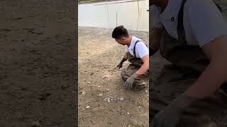 就这么轻松，少说二三两 #fishing #熱門#viralvideo #捕鱼