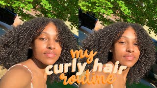 my curly hair routine 2020