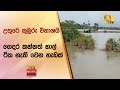 උතුරේ කුඹුරු විනාශයි - ගෙදර කන්නත් හාල් ටික නැති වෙන හැඩක්  - Hiru News