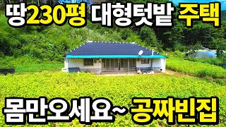 초대형 텃밭을 보유한 이집은 공짜~ 텃세없이 조용한 시골 귀촌생활~ 역대급 환경속 모든걸 갖췄습니다! 땅230평 앞마당이 축구장 수준~ 살다 살다 처음봅니다 땅땅정보통