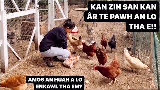 KAN ZIN HLAN IN AMOSA'N ANTAM A LO TI PAR VEK!! || HAW VELEH TOMATO SAM KAN TAN NGHAL