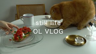 VLOG | 직장인의 일상 브이로그, 장보기, 간단한 브루스케타 만들기, 아름다운가게 기증하기