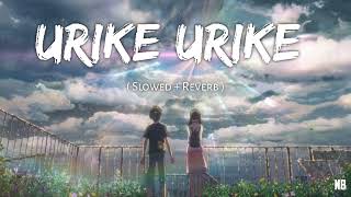 Urike Urike ✨ ( Slowed + Reverb ) || NB VIDS