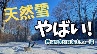 雪多すぎてトップシーズンにcloseするスキー場！奥只見丸山スキー場の1stシーズンを滑る【All天然雪】