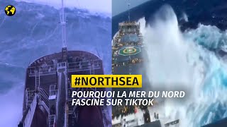 #NorthSea : pourquoi la mer du Nord fascine sur TikTok