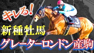 【祝・初重賞！】大ブレイクの予感漂う新種牡馬・グレーターロンドンと期待の産駒を紹介します！【pog】