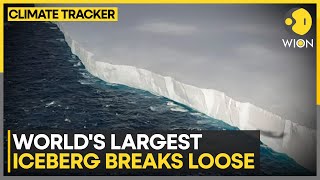 One-Trillion-Ton Iceberg on Collision Course | WION Climate Tracker | World News