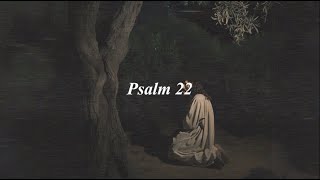 God I'm really struggling right now // Psalm 22 X Meditation Prayer