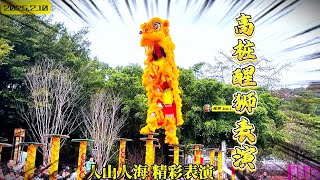 Lion Dance  |  Acrobatic yellow Lion Dance Perform | 高桩醒狮  | 诸事顺利 | 见者好运见者发财