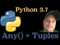Python 3.7: How To Use The Any() Function On A Tuple In Python