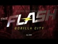 The Flash 3x14 Promo 'Attack on Central City' HD Season 3 Episode 14 Promo