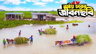 👉বর্ষার চর জীবন | ৩৮ দাগ চর | Nomadic Life in Flooded Char Areas of Bangladesh 🌧️🐎